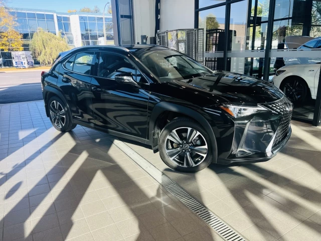 Lexus UX250h UX 250h 2020