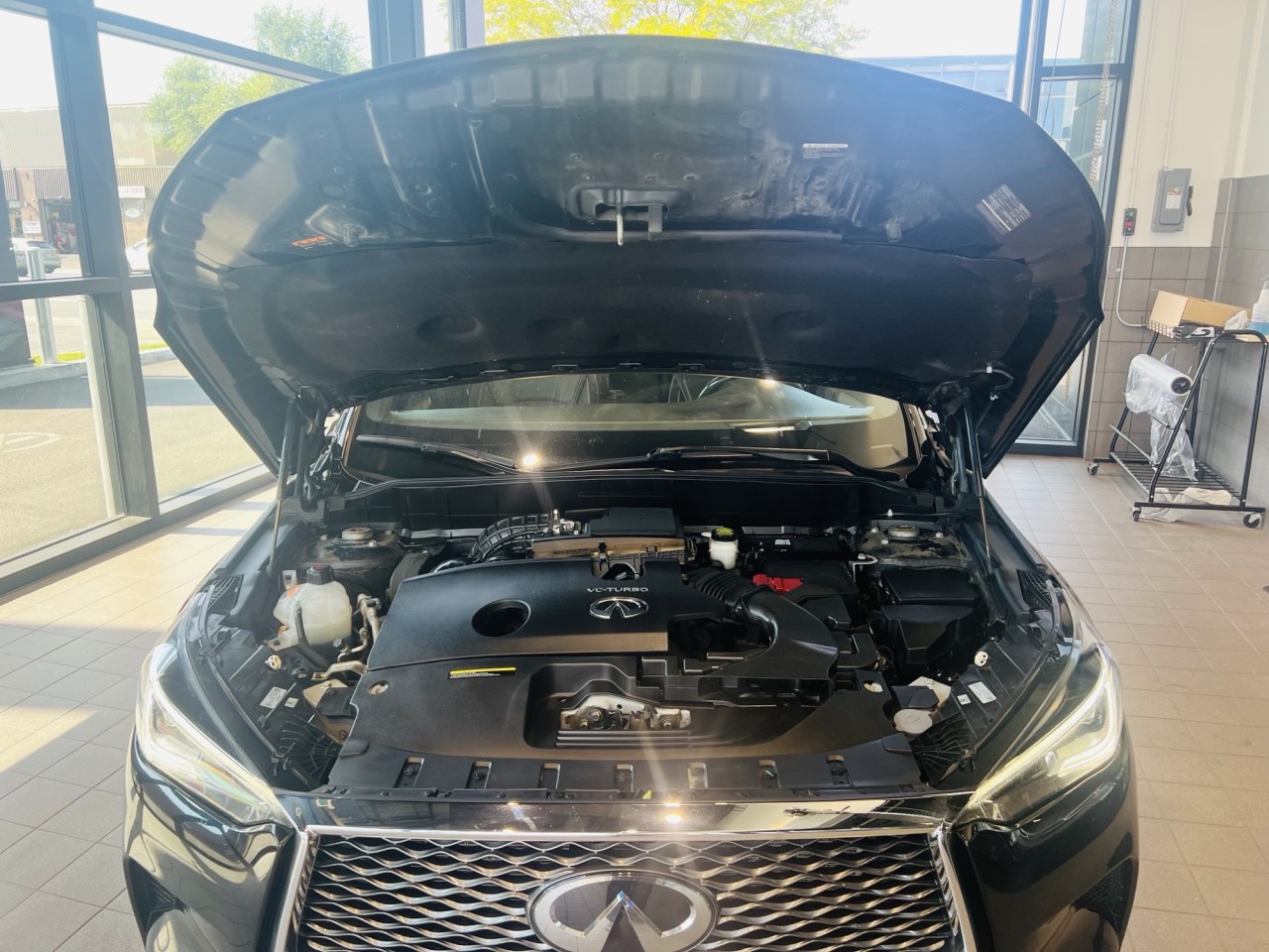 2021 INFINITI QX50 Sensory Main Image